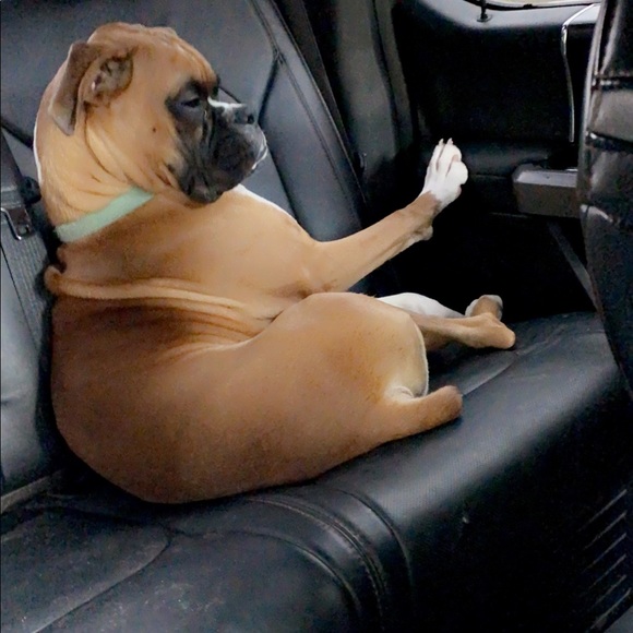 Meet your Posher, Donna - Picture 1 of 1